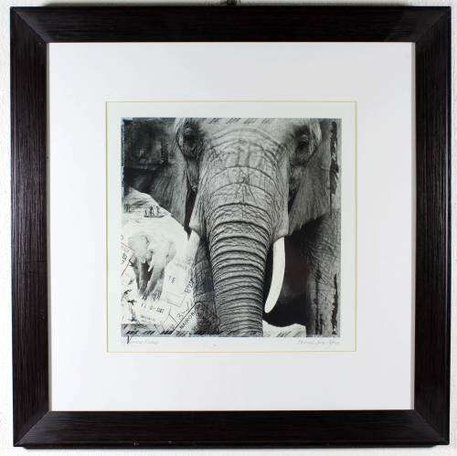 Veronica Coetzer - Postcards from Africa - Elephant