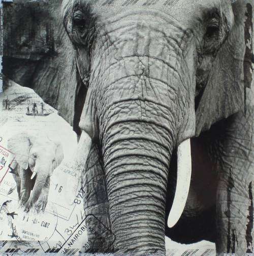 Veronica Coetzer - Postcards from Africa - Elephant