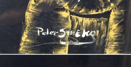 Peter Sibeko - Guitar player