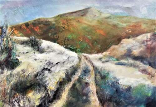 Dorothy Vivian du Plessis - Bush Track