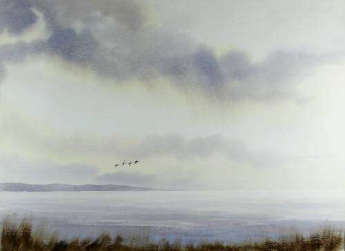 Johan Manefeldt - Birds in flight over the lake - A beautiful treasure! - Investment art,