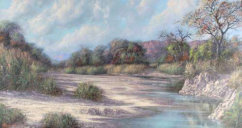 Roy Gardener - Bushveld landscape
