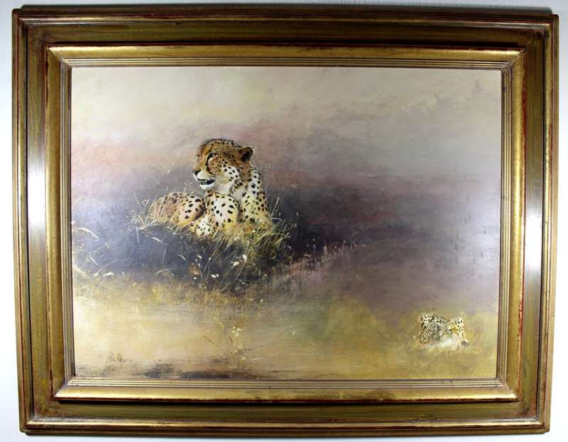 J du Plessis - Cheetas
