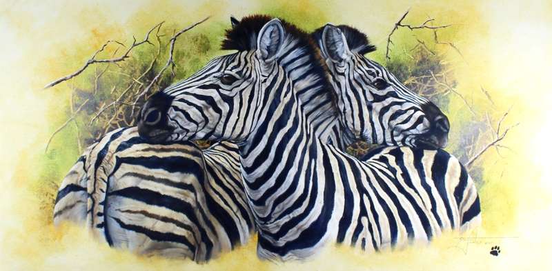 Steve Jones- Zebra`s - Large 118cm x 59cm - Stunning art! - Bid now!