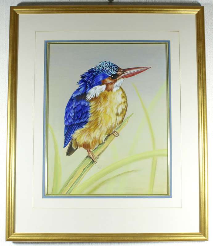 R Buric - Colorful bird with blue & yellow feathers