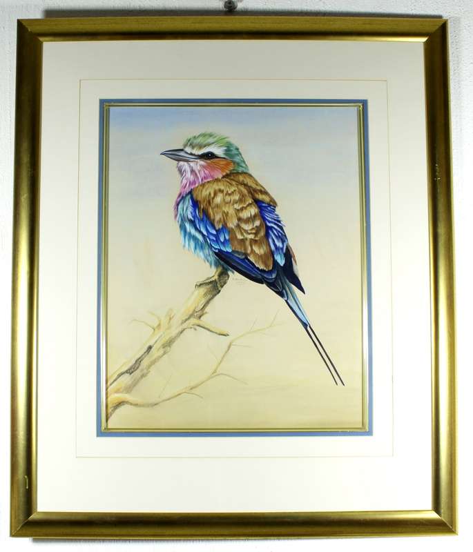 R Buric - Colorful bird with blue & brown feathers
