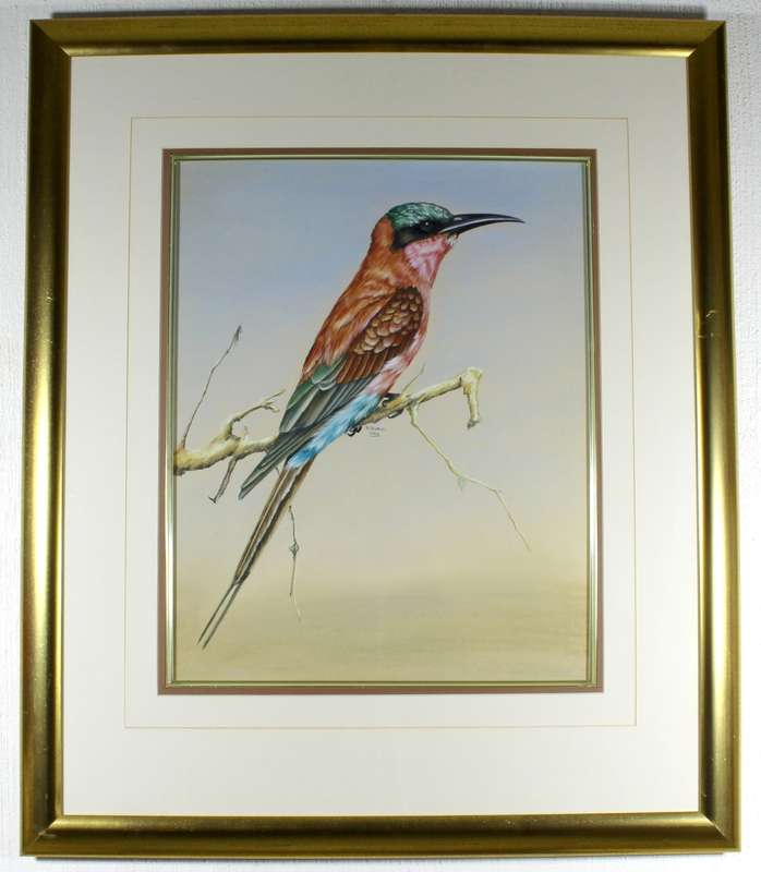 R Buric - Bird with multi color feathers