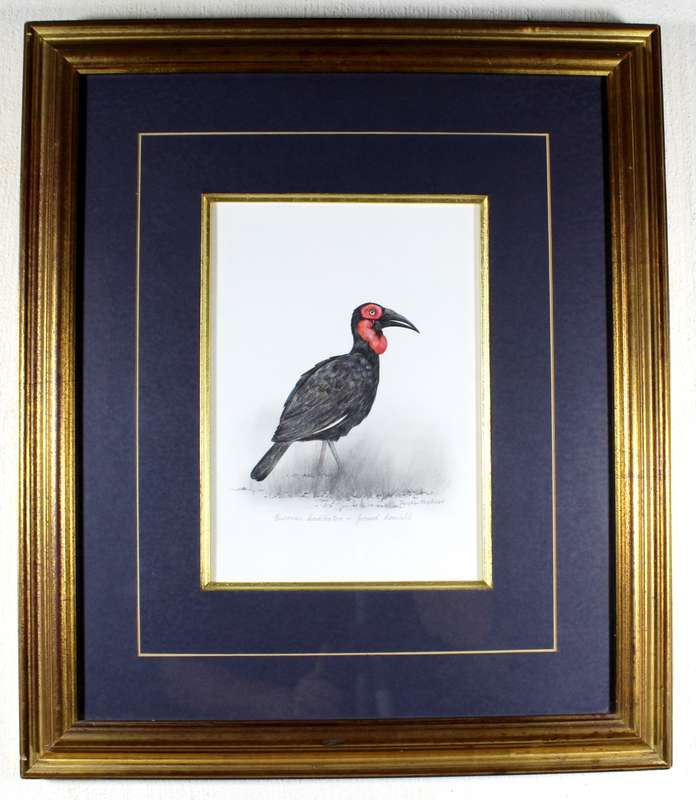 Linchen Kirchener ground hornbill art