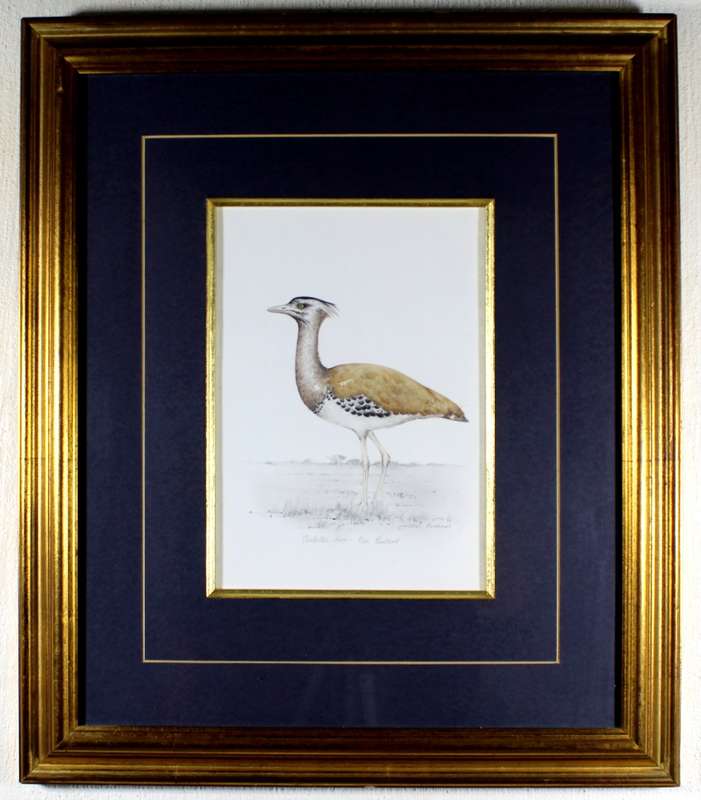Linchen Kirchener - Kori Bustard