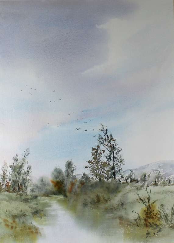 Pauline Tait - Birds in flight