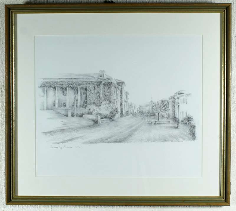 Sheila Brand - University Avenue UCT