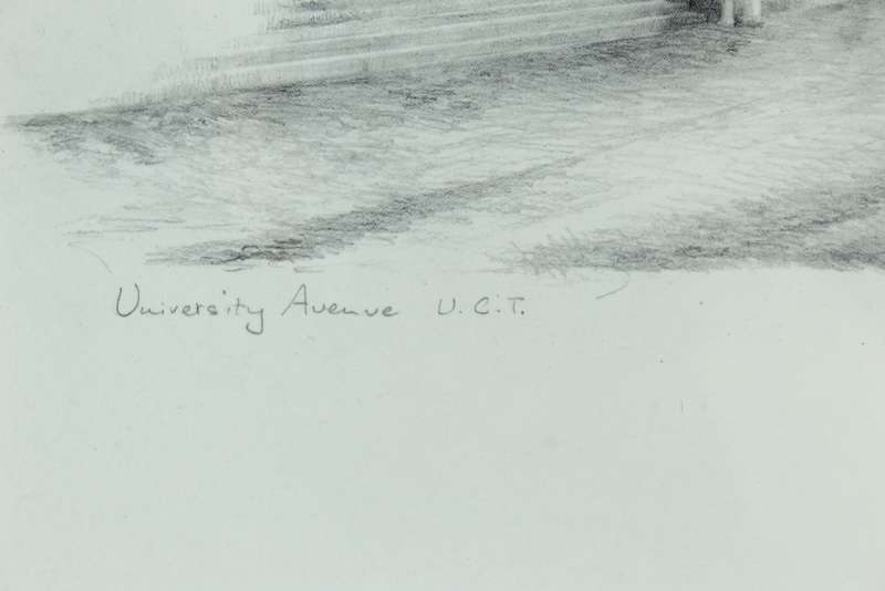 Sheila Brand - University Avenue UCT