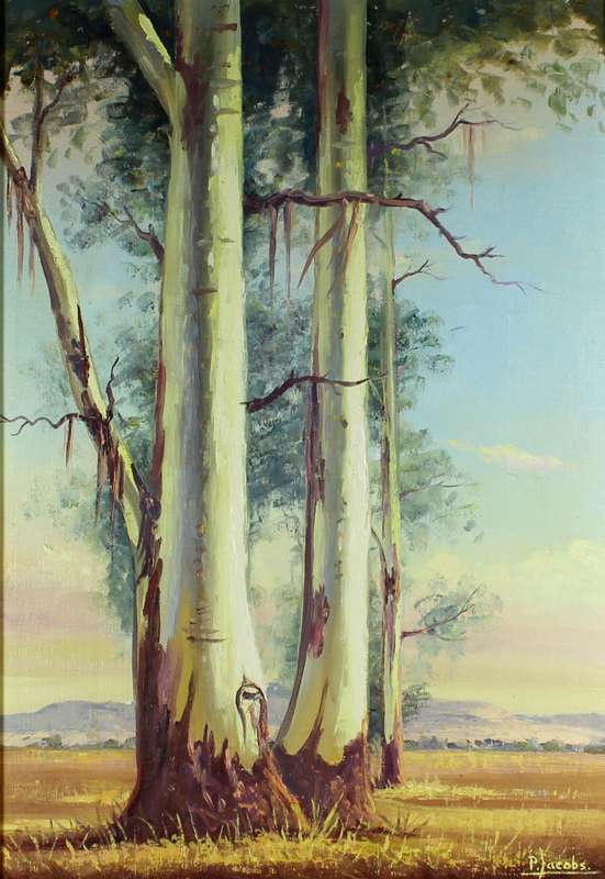 P Jacobs - Large trees - A beautiful oil painting! - Bid now!!