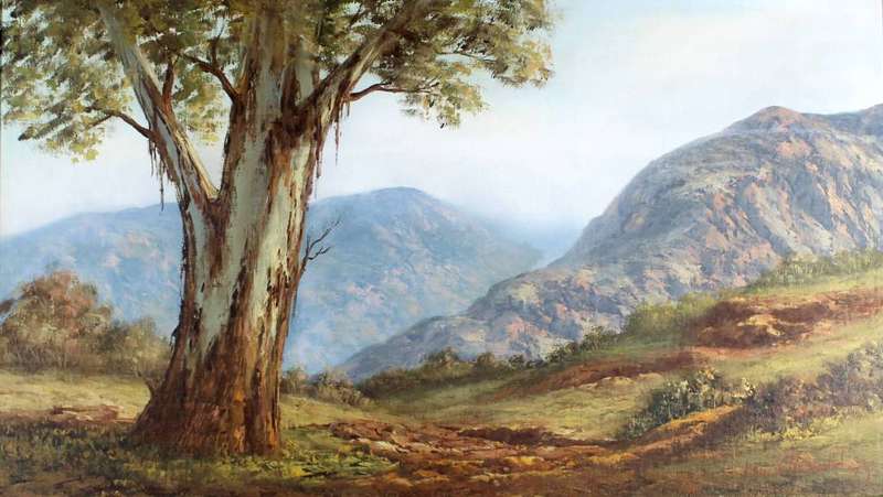 Louise Repsold - Blue Gum tree overlooking the valley
