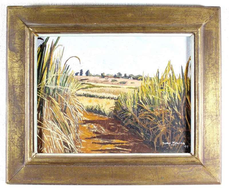 Alan Maling - Cane fields