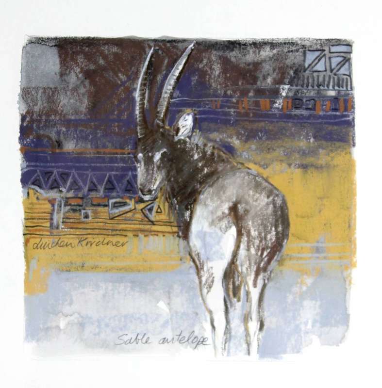 Linchen Kirchner - Sable Antelope