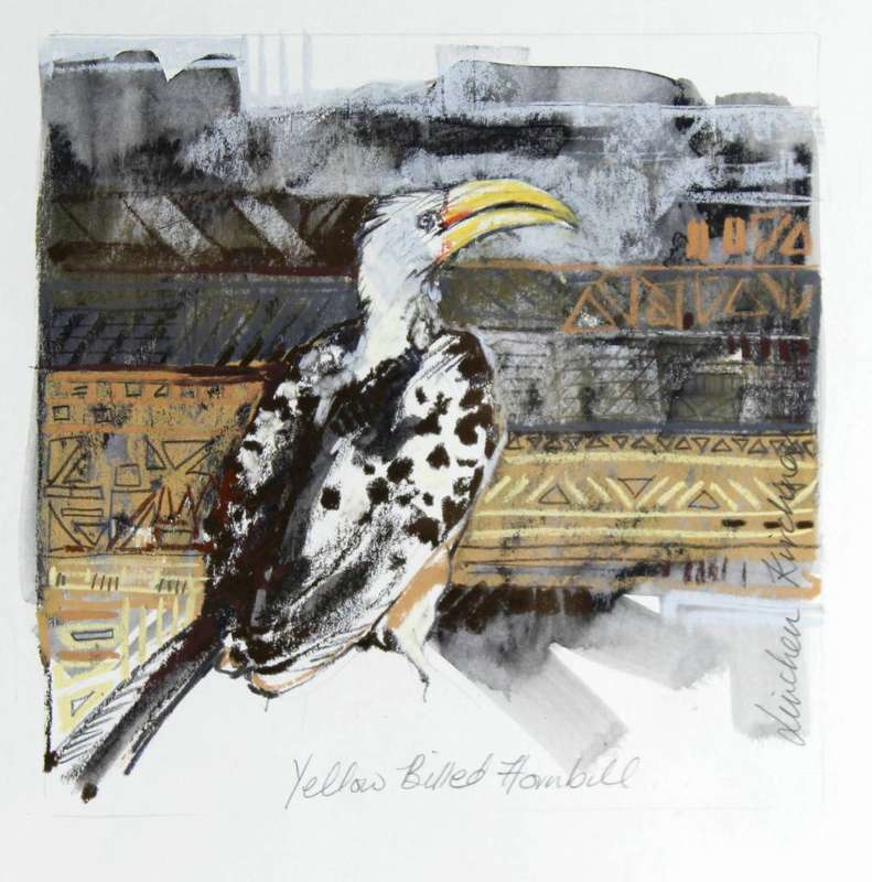 Linchen Kirchner - Yellow Billed Hornbill