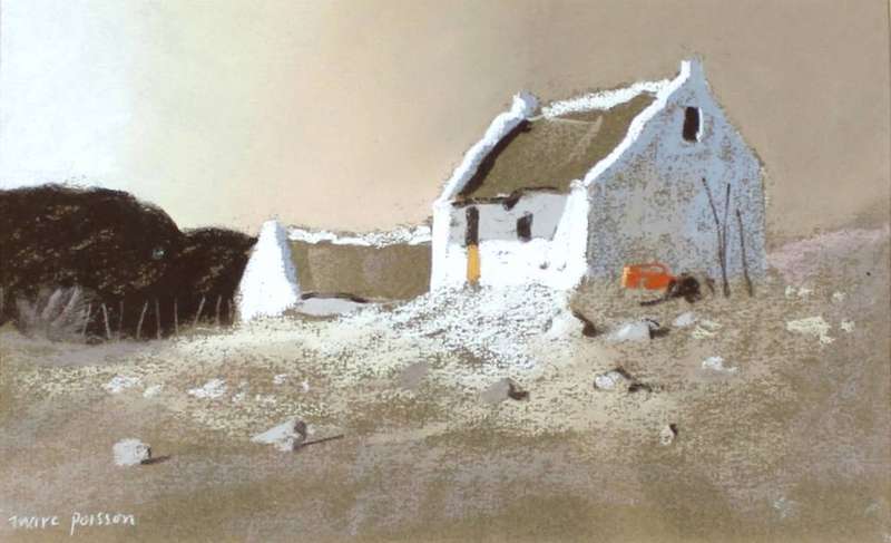 Marc Poisson - Cape Dutch houses