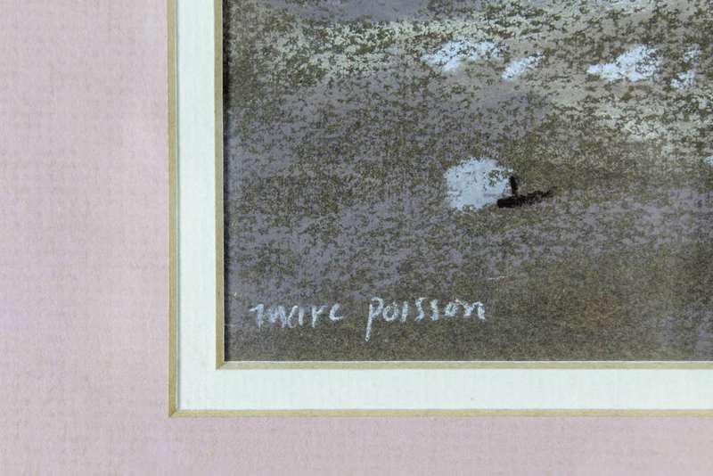 Marc Poisson - Cape Dutch houses