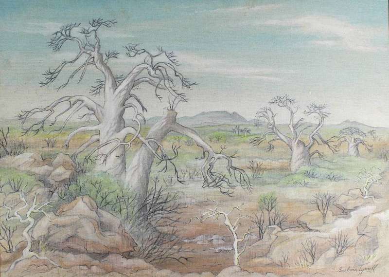 Barbara Tyrell - Landscape with Baobab`s - A lovely painting - Bid now!