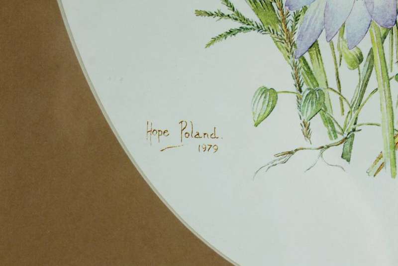 Hope Poland - Flower arrangement