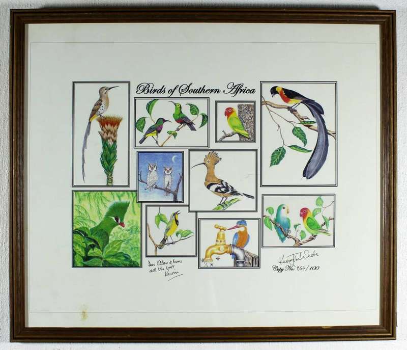 Kevin John Woods - Birds of Southern Africa