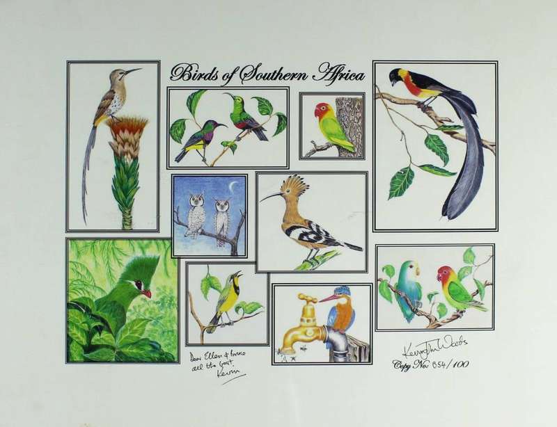 Kevin John Woods - Birds of Southern Africa
