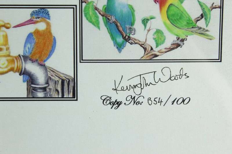 Kevin John Woods - Birds of Southern Africa