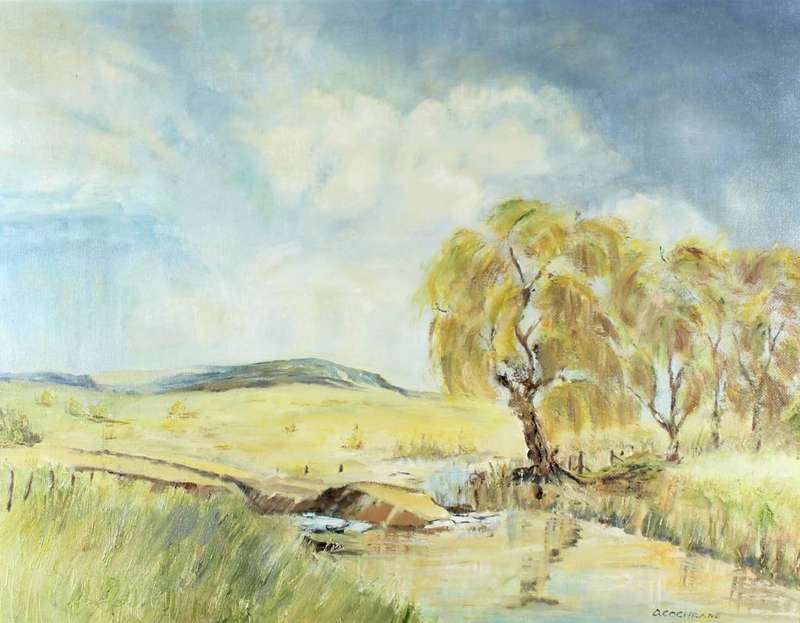 D Cochrane - Landscape