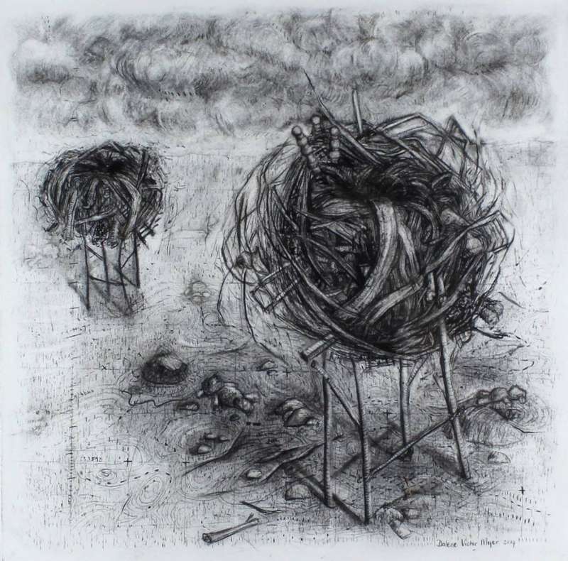 Dalene Victor Meyer - Abstract