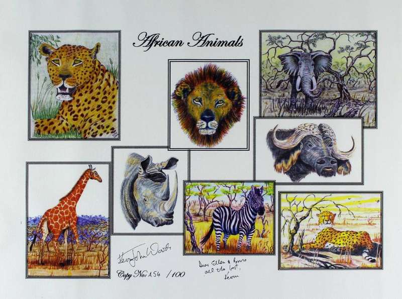 Kevin John Woods - African Animals