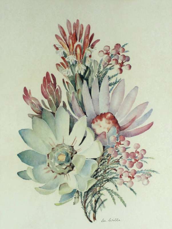 Lee Wille - flower study