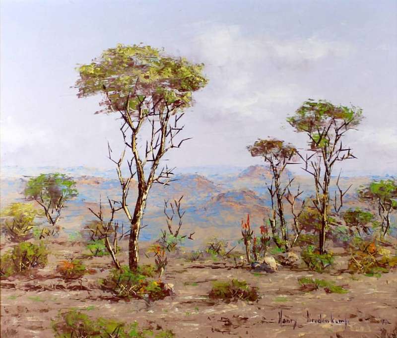 Henry Bredenkamp - Trees and aloes
