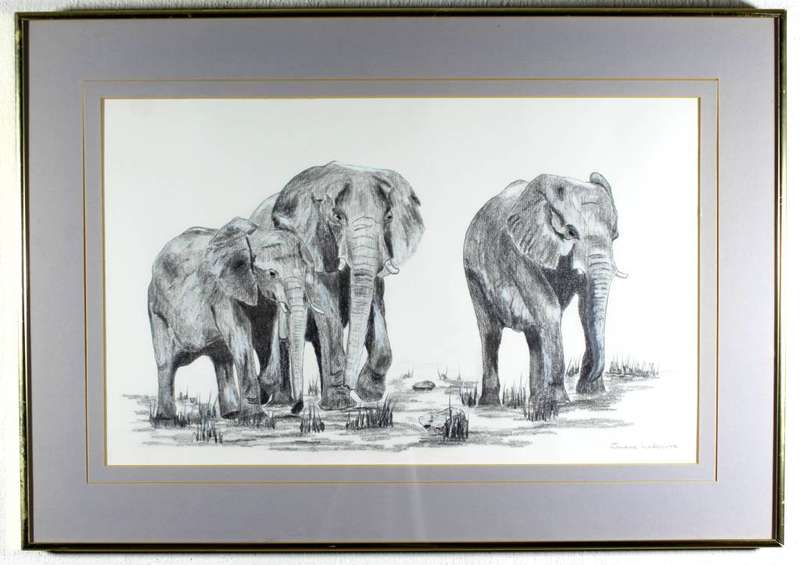 Graeme Hadbrooke - Elephants