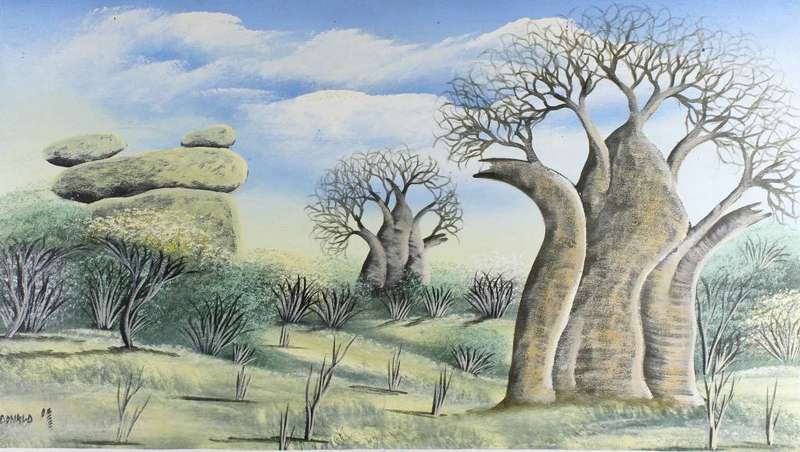 Donald - Baobab trees