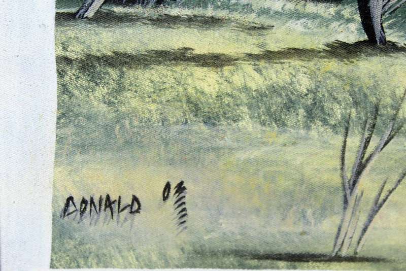 Donald - Baobab trees