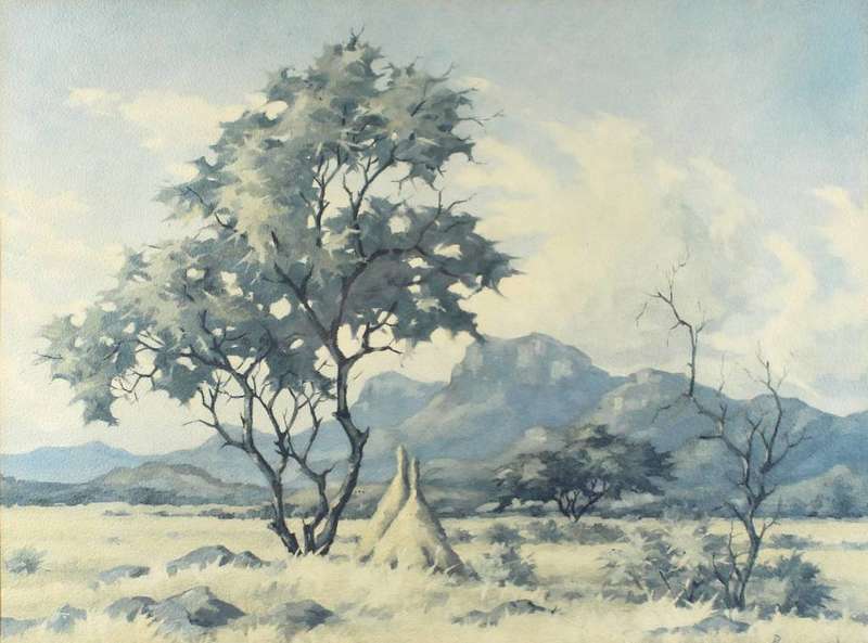 Borman - Landscape near Pietersburg