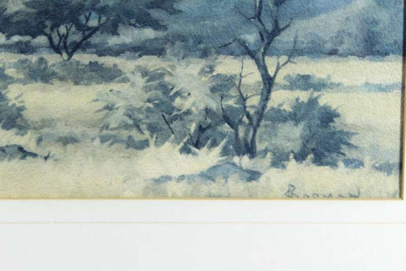 Borman - Landscape near Pietersburg