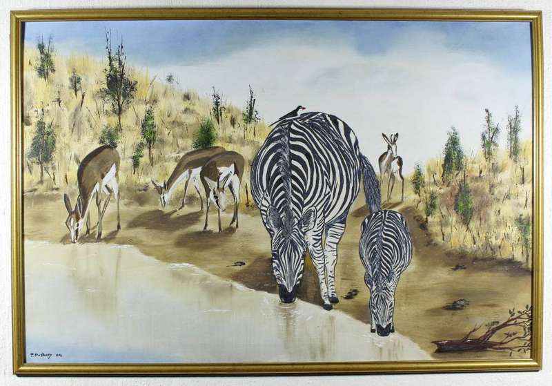 P du Plooy - Zebra`s and Springbok`s