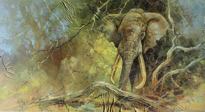 Kobus Moller - Elephant in the bush