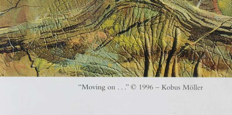 Kobus Moller - Elephant in the bush