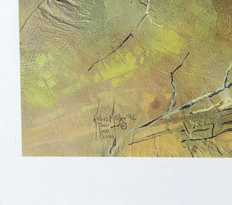 Kobus Moller - Elephant in the bush