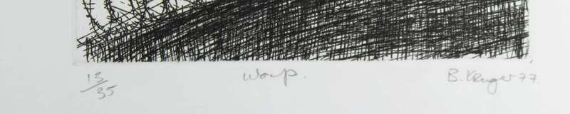 Braam Kruger - Warp
