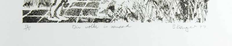 Braam Kruger - Die wolke is vannaand