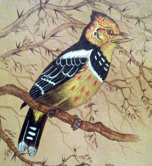 Val Odendaal - Painted on Kudu leather!