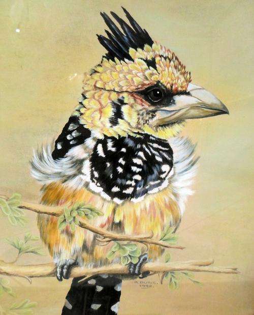 R Buric - Bird print - A beautiful item, bid now!!