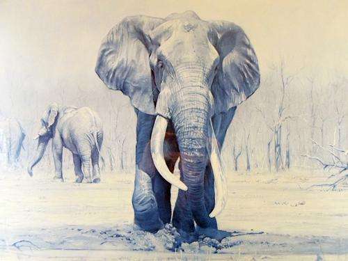 Paul Bosman - Joao - Limited edition print - A true classic piece!! Bid now!