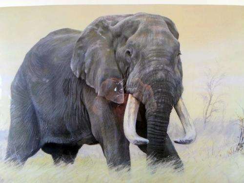 Paul Bosman - Dzombo - Limited edition print - A true classic piece!! Bid now!