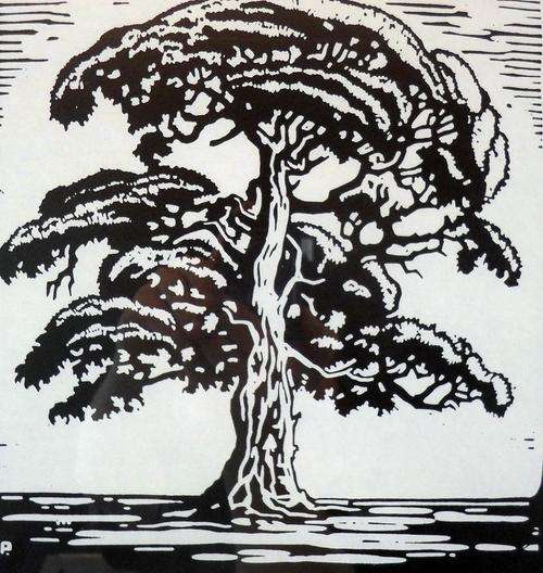 Pierneef - Entitled "Single Tree" - A beautiful photo lithograph!! Bid now!