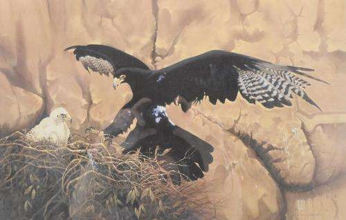 Dr Johan van Rensburg - Limited edition wild life print